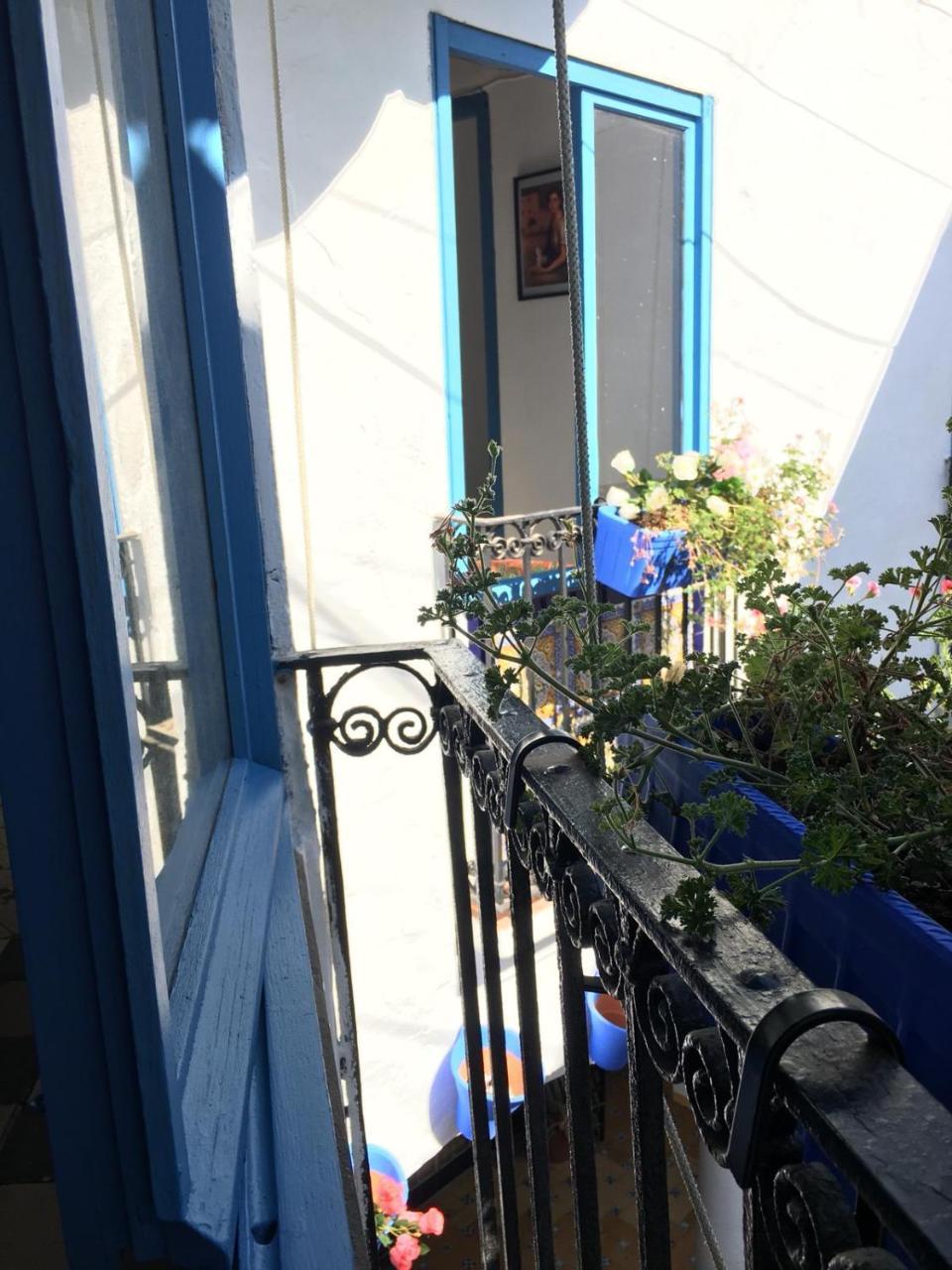 Seneca Hostel قرطبة المظهر الخارجي الصورة