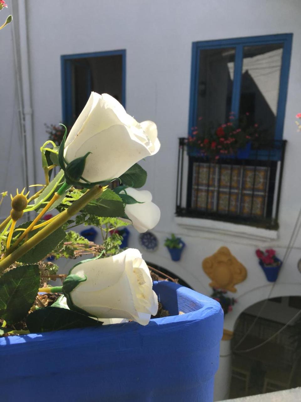 Seneca Hostel قرطبة المظهر الخارجي الصورة