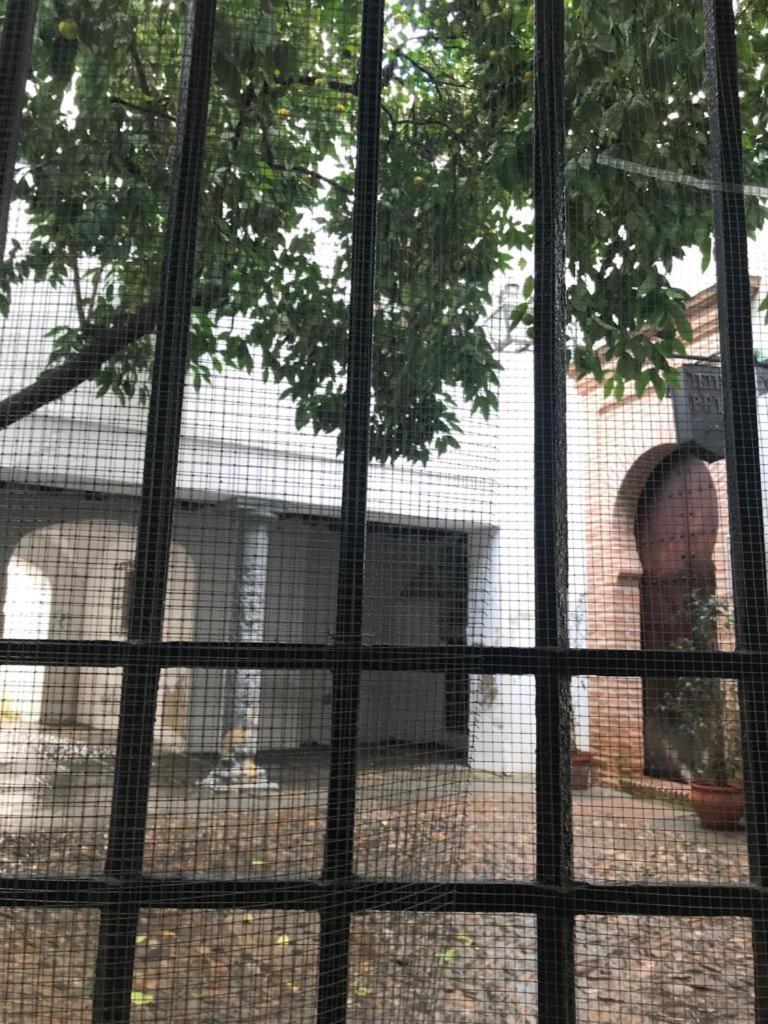 Seneca Hostel قرطبة المظهر الخارجي الصورة