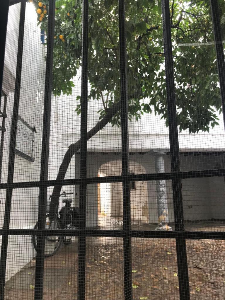 Seneca Hostel قرطبة المظهر الخارجي الصورة