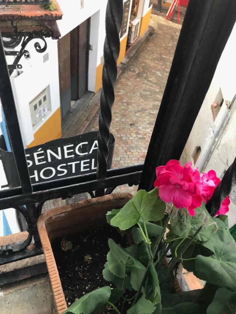 Seneca Hostel قرطبة المظهر الخارجي الصورة